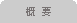 概要